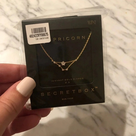 Capricorn 14k gold dipped necklace - Astrology Zodiac - Picture 3 of 4